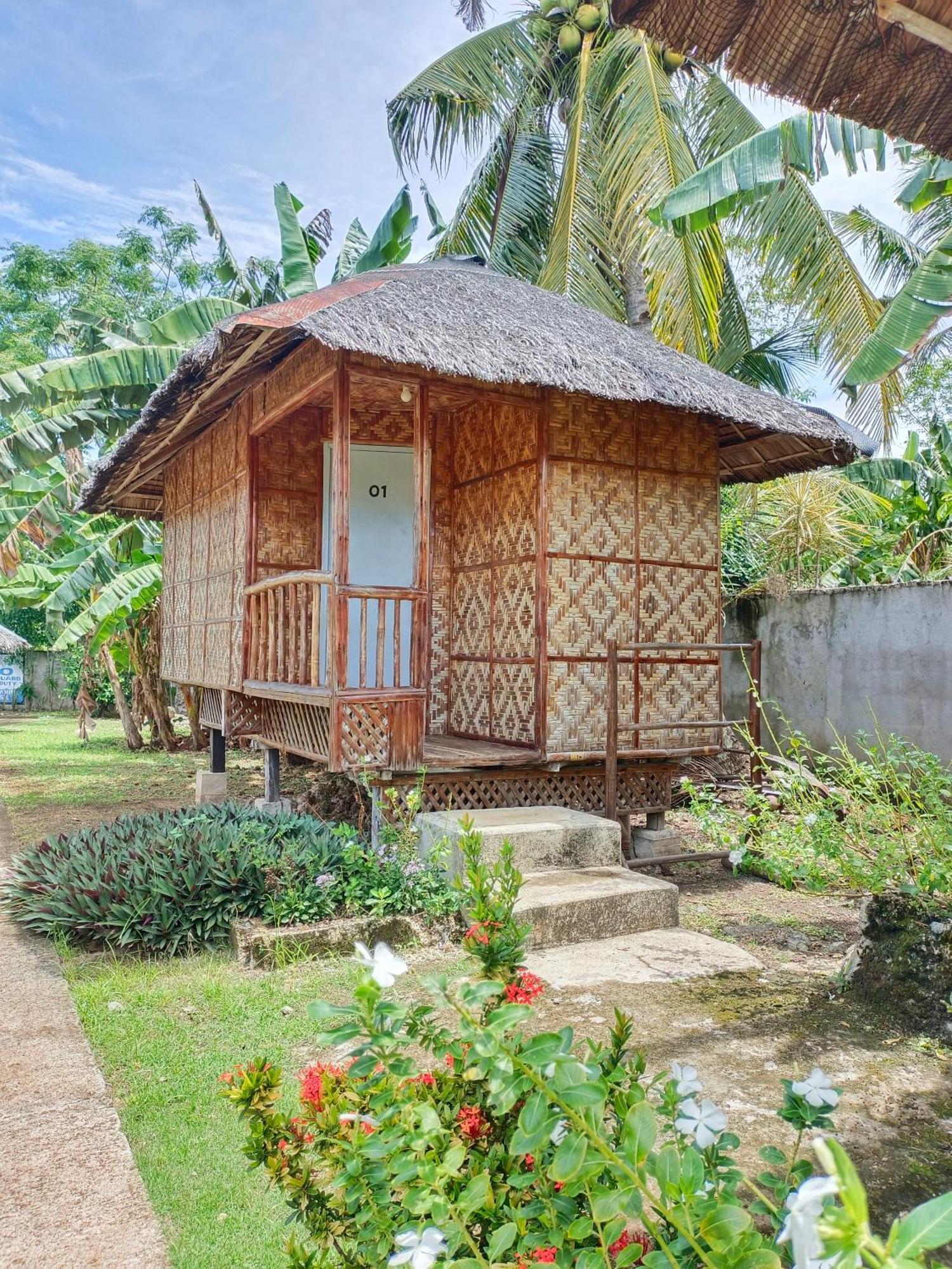 Ander Divers Garden Resort Anda  Exterior photo